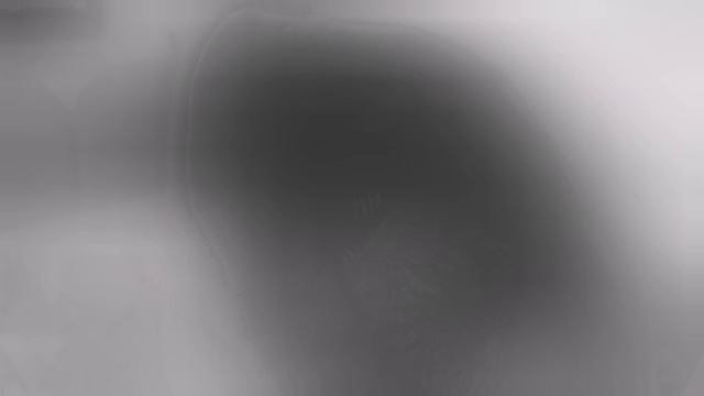 Arigato Nobody Story