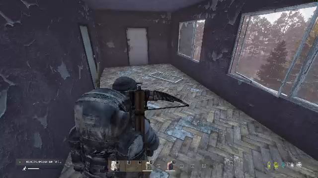 Новый мир - новая жизнь | DayZ | New World DayZ