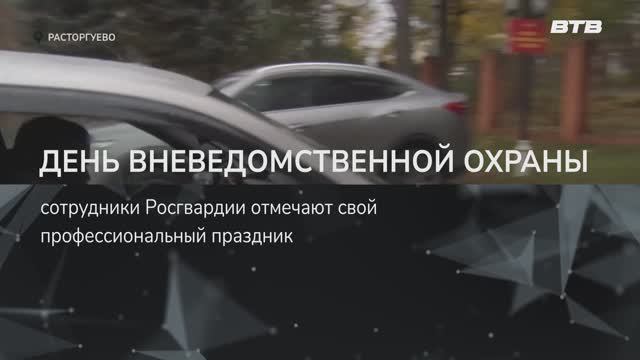 ДЕНЬ ВНЕВЕДОМСТВЕННОЙ ОХРАНЫ смотреть онлайн
