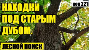 ЭТО НЕ ЛЕС, А КОШЕЛЕК КАКОЙ-ТО, СНОВА СЕРЕБРО!!! коп 221