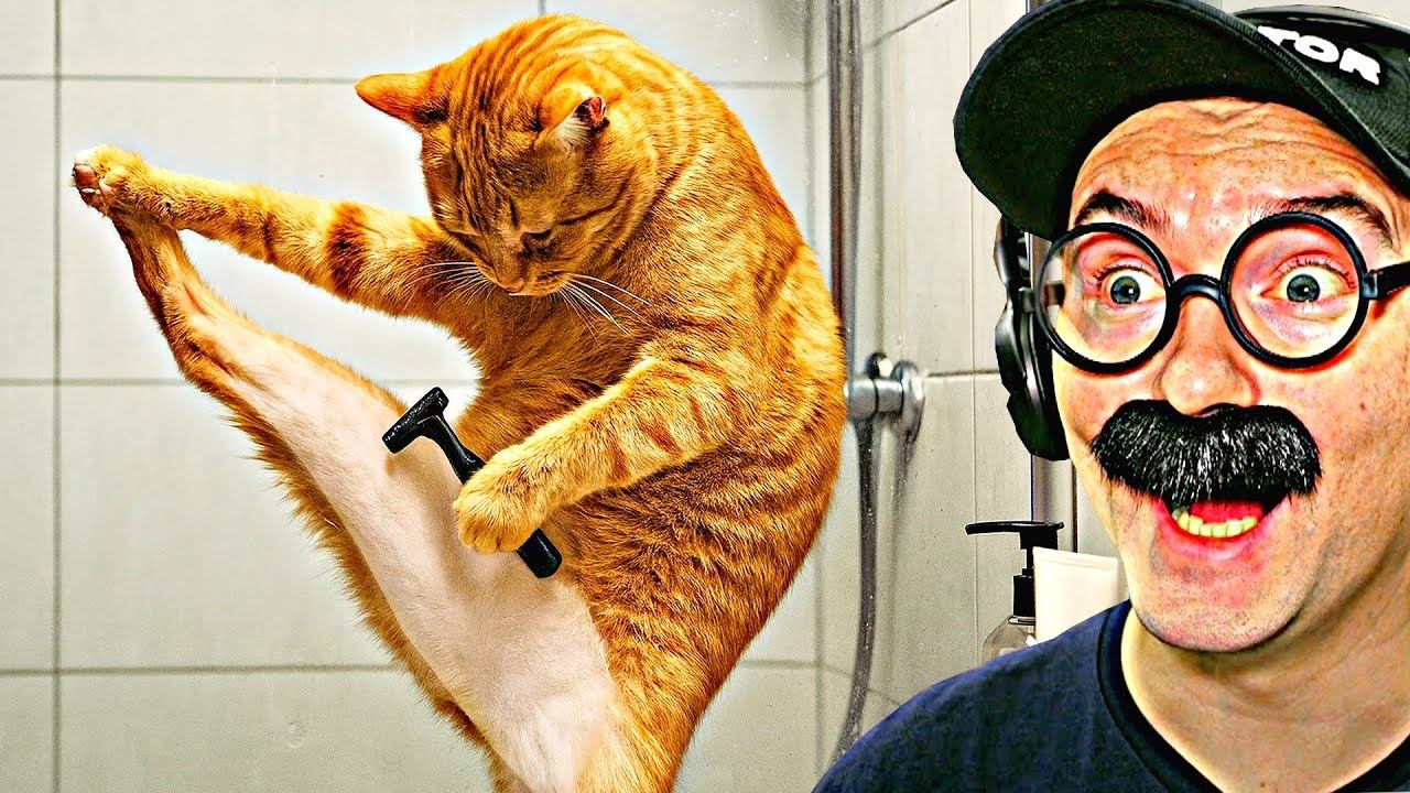 100 САМЫХ СМЕШНЫХ ВИДЕО (4 Выпуск) смотреть онлайн