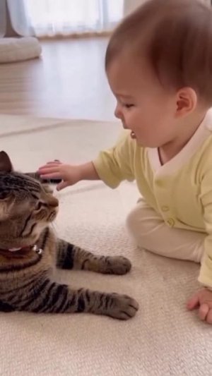 Смешные животные.