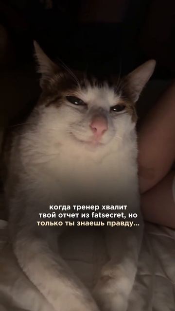 😂😂😂 #безсахара #ппдесерты #зож смотреть онлайн