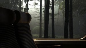 Звуки сильного дождя на кемпере в лесу Аляски для отдыха и сна 🌧️