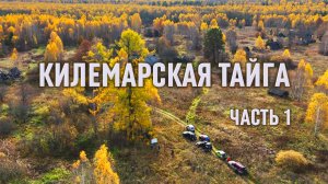 Марийская СВЯЩЕННАЯ лиственница. РАТНАЯ тропа Ивана Грозного. ЮРОНГА.  КИЛЕМАРСКАЯ ТАЙГА 2025.