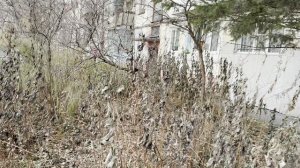 СНЯТО НА IPHONE AIR - ТЕСТ САМОГО ТОНКОГО АЙФОНА!