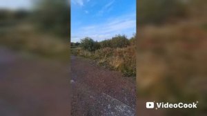 Воркута лето ☀️ 2025
