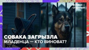 Собака загрызла младенца: кто виноват — хозяева или животное? | Вопрос спорный — Москва 24