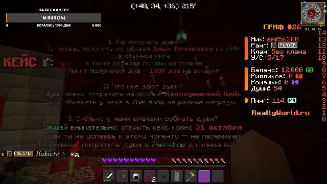 играем в майнкрафт на сервере REALLYWORLD