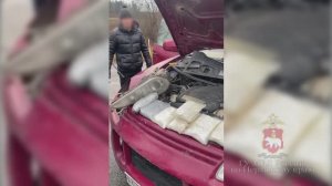 Полиция Прикамья задержала двух наркокурьеров за попытку сбыта 15 кг амфетамина, мефедрона и кокаина