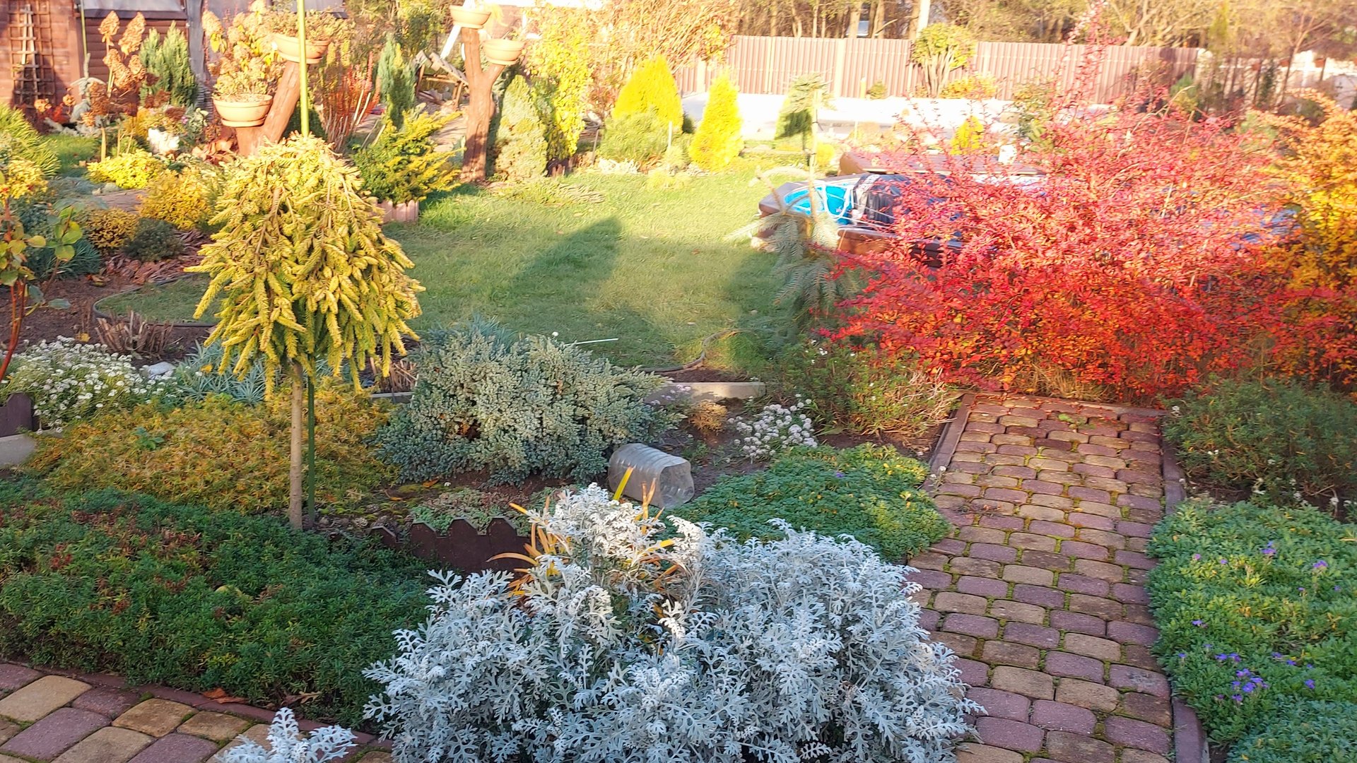 Вот и ноябрь настал🍁🍂🍁 А я все ещё на даче 🤗#любимаядача смотреть онлайн