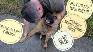 Псу Кубику счастье привалило! На прогулке встретили лося, аллигатора и Артёма!