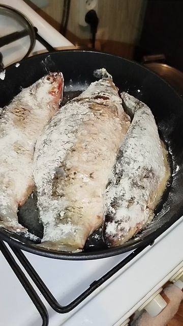 КАРПЫ КАРАСИ ЖАРЁХА смотреть онлайн