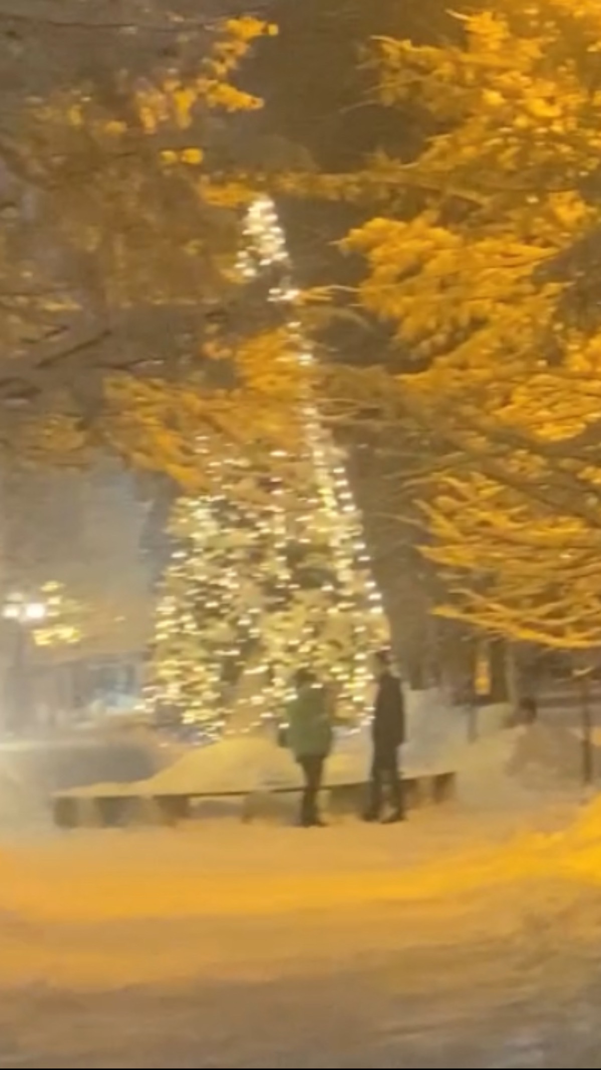 Кемерово. Зимняя сказка ❄️