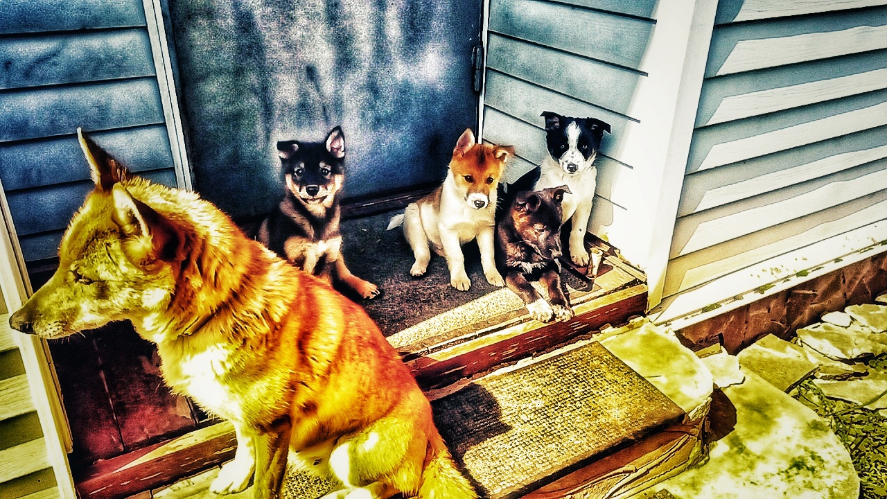 Коммунальная жилплощадь.