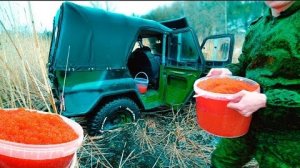 НАШЛИ БРОШЕННЫЙ БРАКОНЬЕРСКИЙ УАЗ С КРАСНОЙ ИКРОЙ