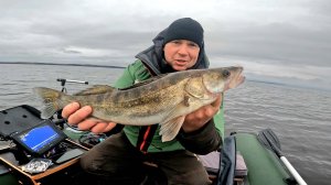 НАШЛИ ЛОГОВО СУДАКА И БЕРША Рыбалка в отвес с лодки. Настройки эхолота Calypso.