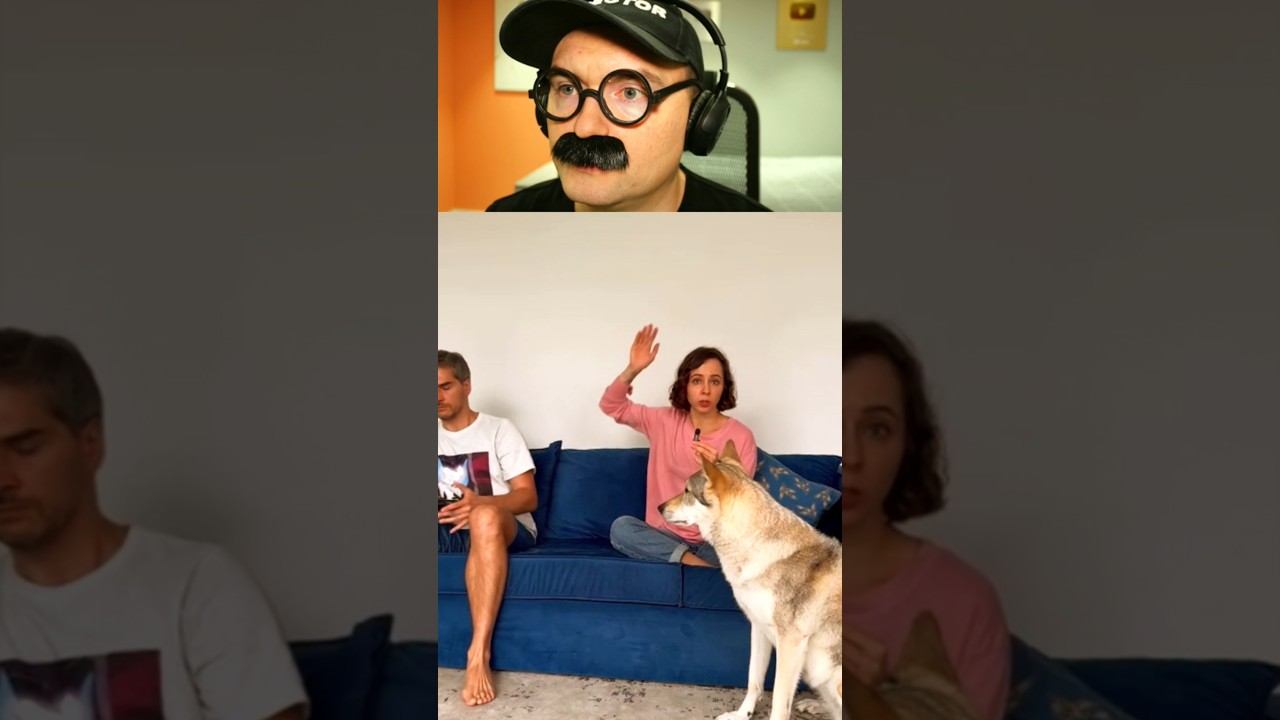 Как понять что собаку били смотреть онлайн