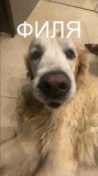 деньги vs любовь (идея @ryan)