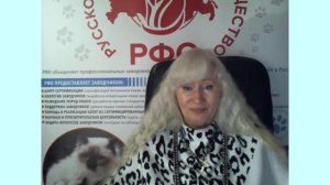 Выставки кошек on-line.