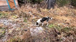 Пошёл в западную, но болото не пустило.