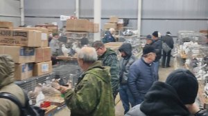 25.10.2025г Ярмарка на Садоводе (Осенняя Сборная) ч.1