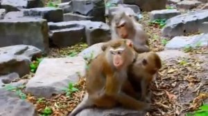 Операторы знают верный подход к матери семейства Либби   1000039686.mp4