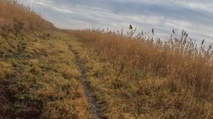 Открытие охоты с гончими