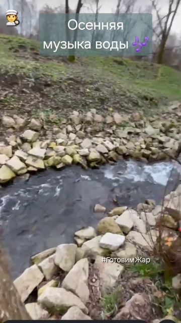 Музыка воды #музыка #вода #осень #рек #яппи #рекомендации #природа смотреть онлайн