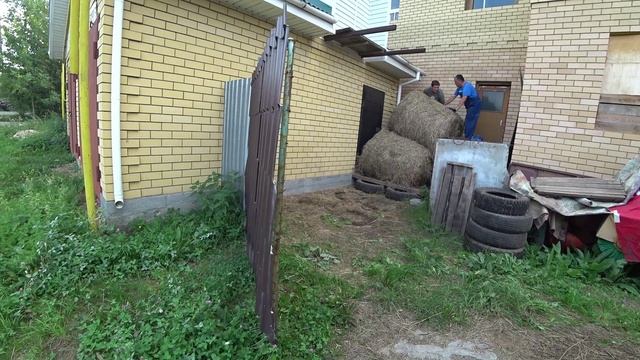 Влог от 24.08.2021 смотреть онлайн