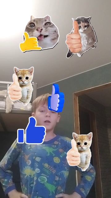 лайкайте ролики моего канала Tiger.mp4