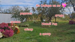 01-11-2025 Переезд из Сибири на юг 💖/Наслаждаемся южной жизнью☀️//Окна/Уборка/Готовка/В центр/Обзор