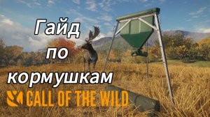 Обзор новых кормушек в theHunter: Call of the Wild