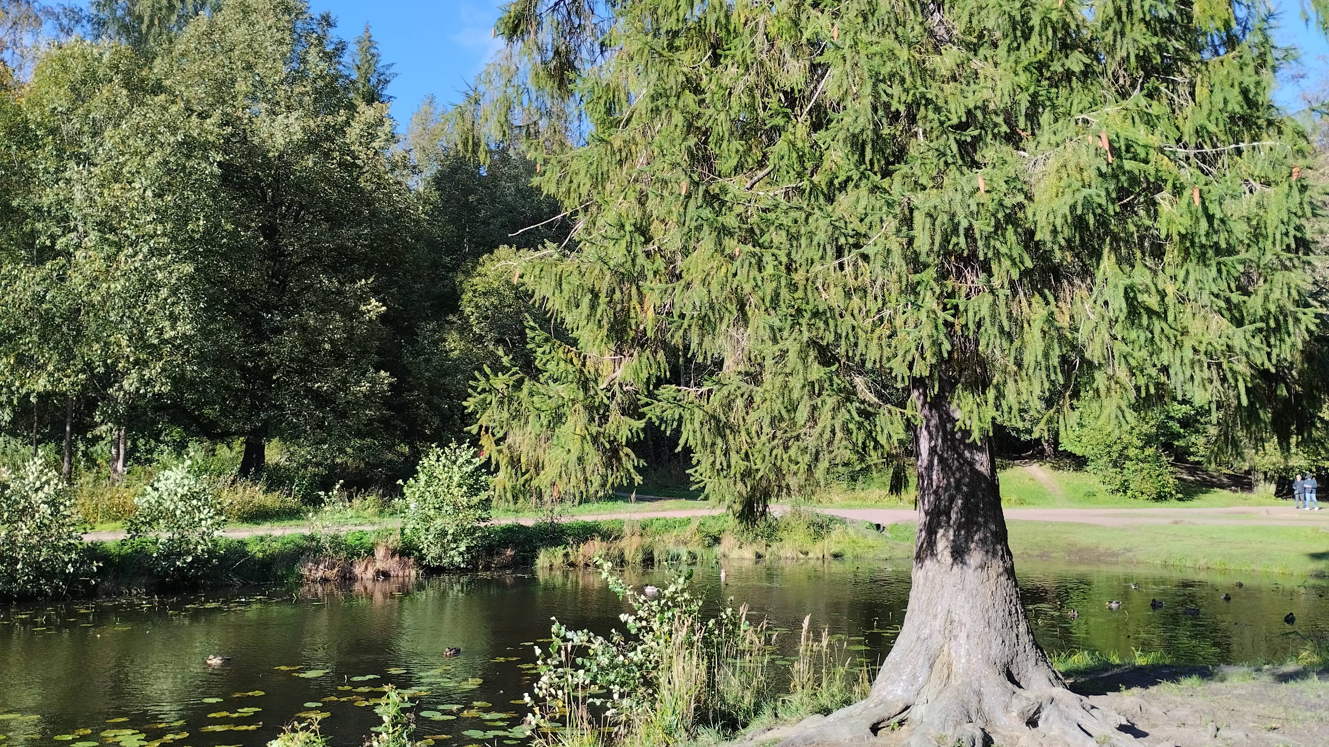 Шуваловский парк (Озёра) смотреть онлайн