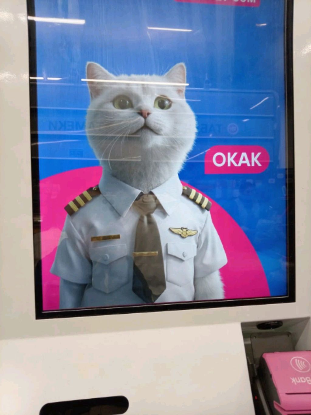 стрим смотреть онлайн
