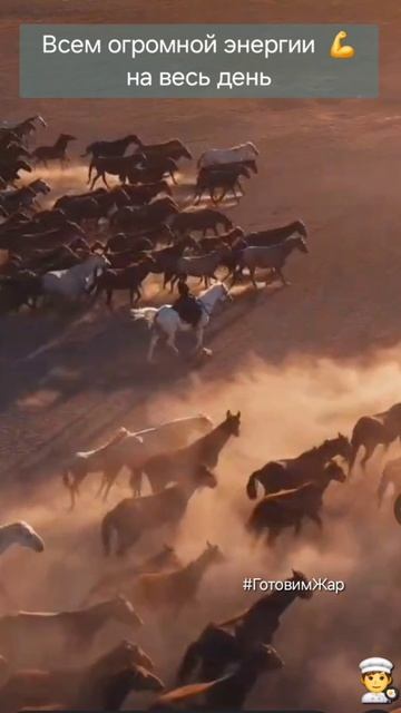 Мотивация #рек #рекомендации #сила #лошади #мотивация #яппи смотреть онлайн