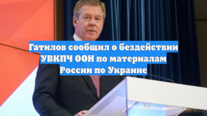 Гатилов сообщил о бездействии УВКПЧ ООН по материалам России по Украине