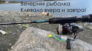 Обычная РЫБАЛКА НА ВОДОХРАНИЛИЩЕ ИЩЕМ ХИТРЫХ СУДАКОВ.