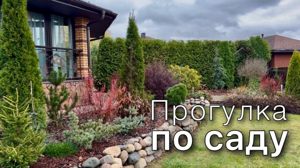 Обзор растений | Прогулка по саду | Хвойные Многолетники Кустарники Деревья Октябрь’25