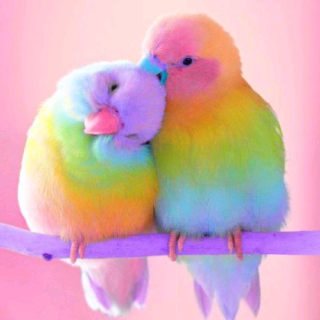 обзор на мой вечер и домик смотреть онлайн