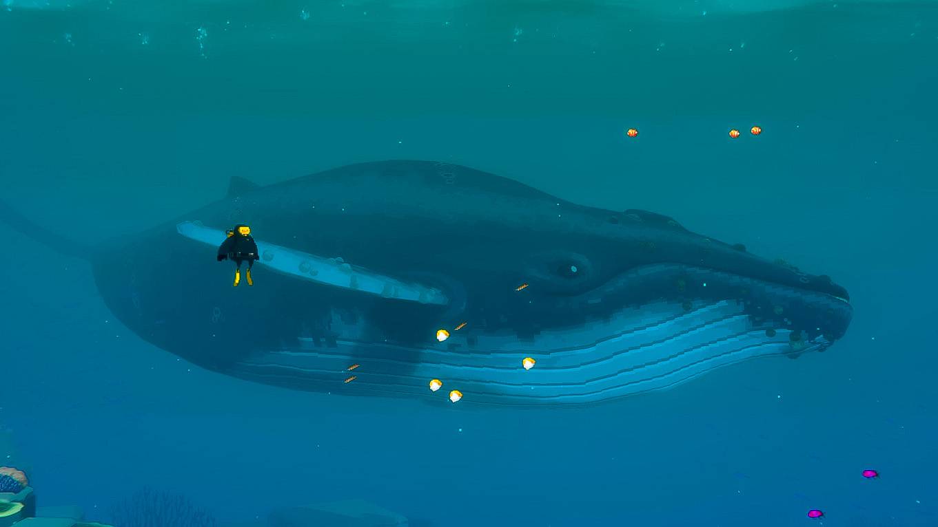 Табличка Русалидов ► Dave the diver  #5