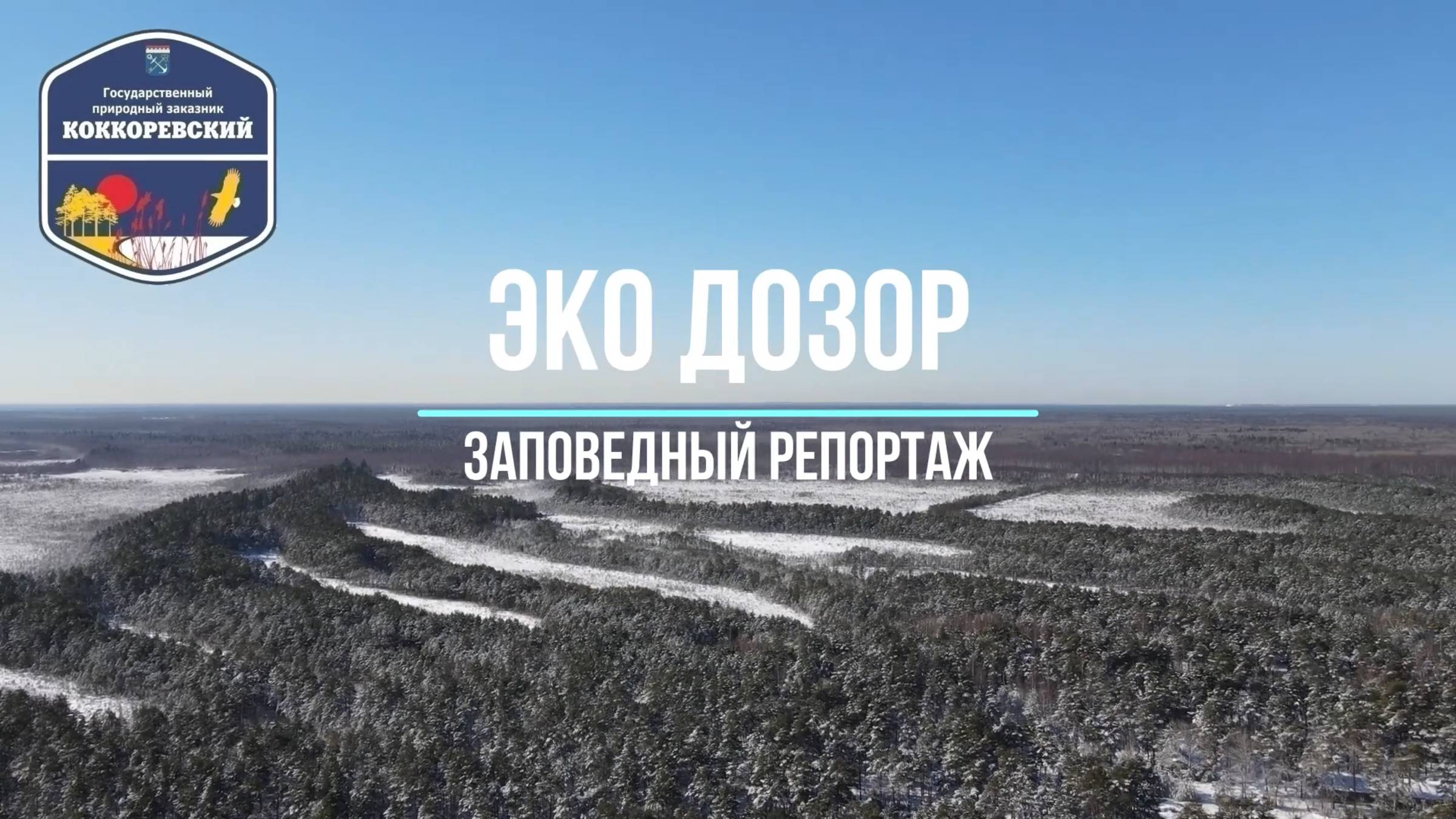 Заказник Коккоревский - заповедный репортаж смотреть онлайн