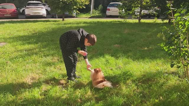 ЗНАКОМЬТЕСЬ - МОЯ МАНЯ! Учу её командам на прогулке! 🐕