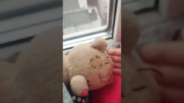 ЗНАКОМСТВО????НАША СЕМЬЯ❤❤🦩MILKA|BLOG🍀