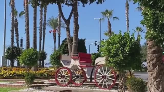 1 ноября АЛАНЬЯ МАХМУТЛАР. ТУРЦИЯ 2025.