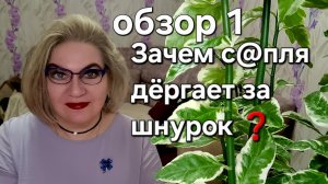 Зачем с@пля дёргает за шнурок