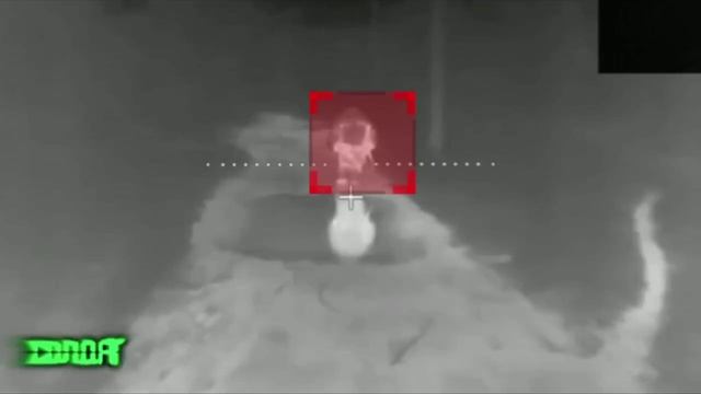 обросший зеленью хряк нашел желудь и залип смотреть онлайн