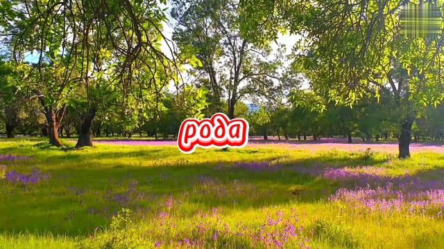 Как с помощью цветных тестов можно выявить некоторые особенности человека? смотреть онлайн