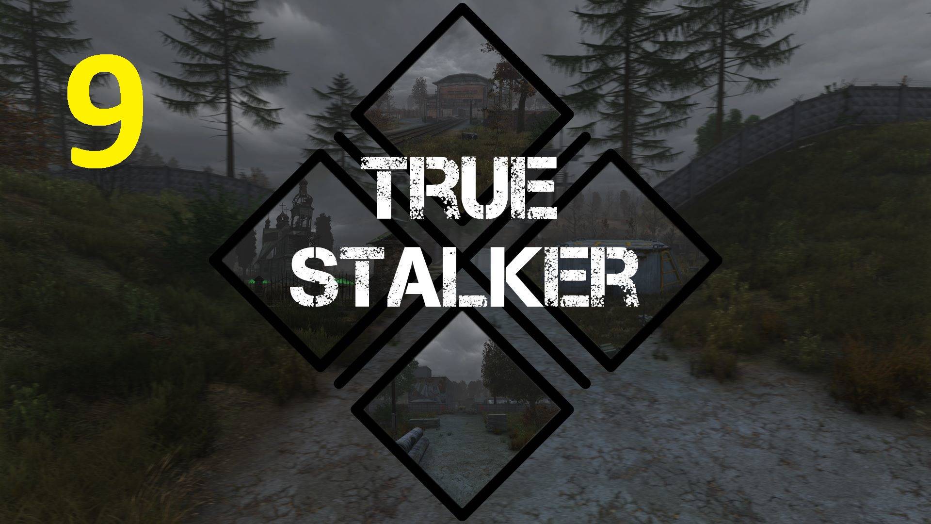 Прохождение S.T.A.L.K.E.R True Stalker. Часть 9 смотреть онлайн