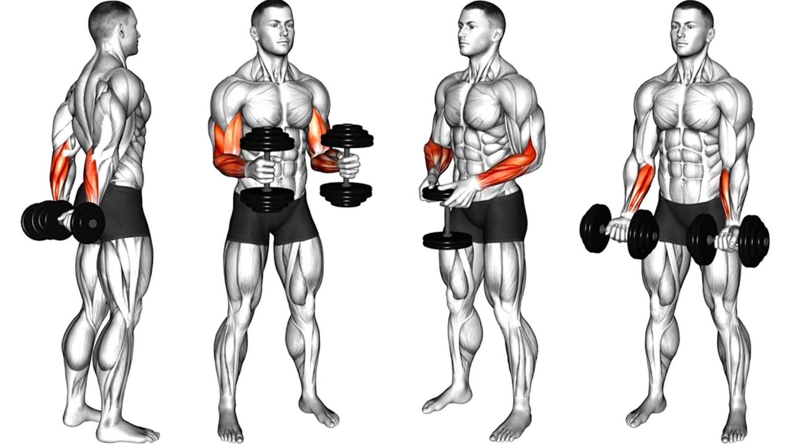 Как накачать большие предплечья дома с помощью гантелей смотреть онлайн